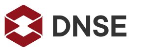 DNSE Logo DNSE