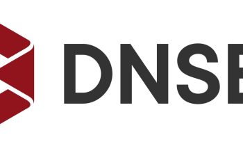 DNSE